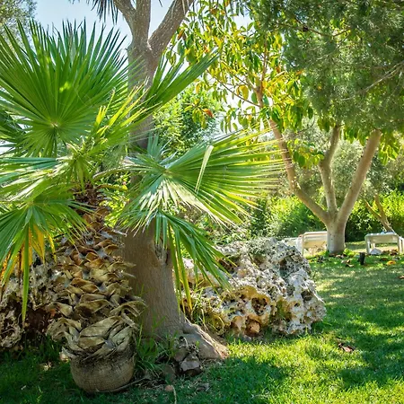Club Cala Romani Hotel Calas de Mallorca